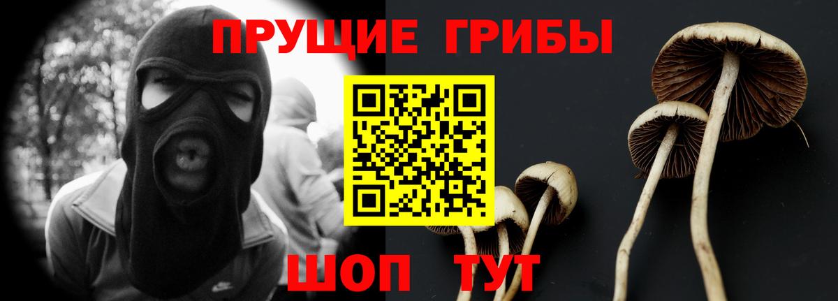 Псилоцибиновые грибы GOLDEN TEACHER  Псилоцибиновые грибы ЛСД  Вход с VPN  Азнакаево 